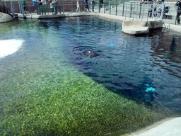 20170727_140638.jpg