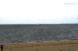 DSC01102.jpg