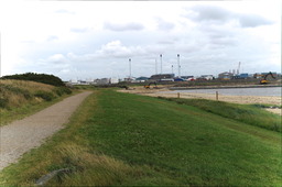 DSC01103.jpg