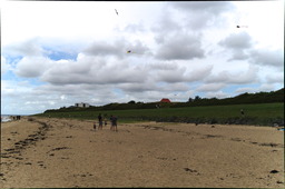 DSC01110.jpg