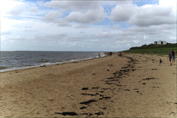 DSC01111.jpg