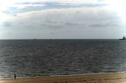 DSC01132.jpg