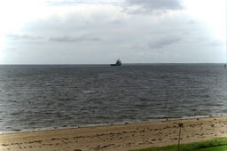 DSC01133.jpg