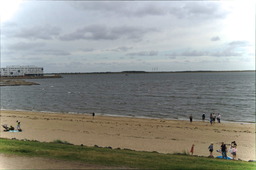 DSC01134.jpg