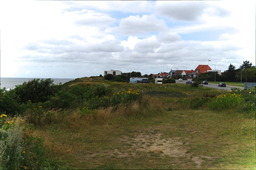 DSC01135.jpg