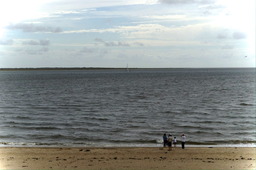 DSC01139.jpg