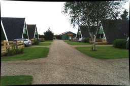 DSC01146.jpg