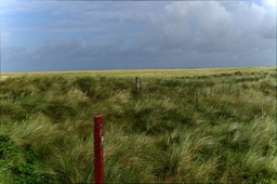 DSC01247.jpg