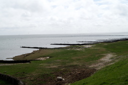 DSC01814.jpg