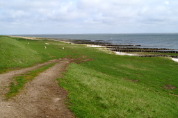 DSC01816.jpg