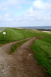 DSC01820.jpg