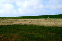 DSC01826.jpg