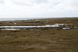 DSC01827.jpg
