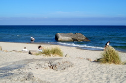 DSC01886.jpg