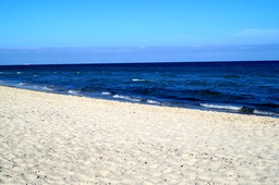 DSC01889.jpg