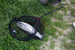 DSC01956.jpg
