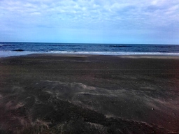 20190602_092842.jpg