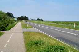 DSC02050.jpg