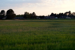 DSC02068.jpg