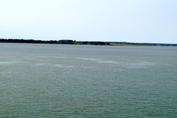 DSC02111.jpg