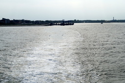 DSC02141.jpg