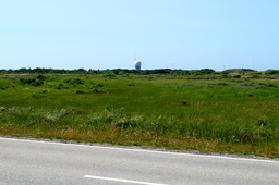 DSC02375.jpg