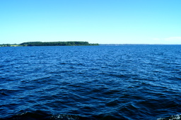 DSC02402.jpg