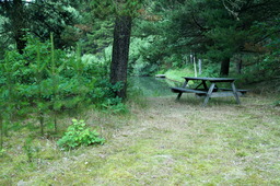 DSC02459.jpg