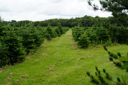 DSC02481.jpg