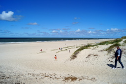 DSC02527.jpg