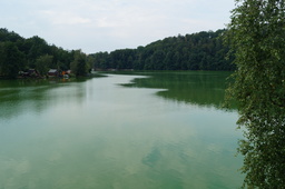 DSC02889.jpg