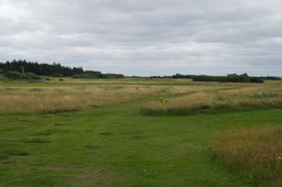 DSC03676.jpg