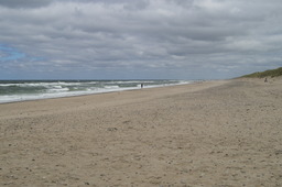DSC03682.jpg