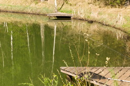 DSC04538.jpg
