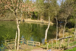 DSC04593.jpg