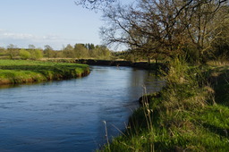 DSC04691.jpg
