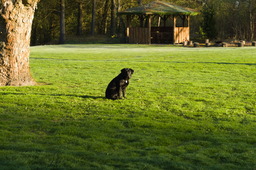 DSC05200.jpg
