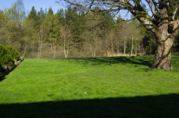 DSC05206.jpg