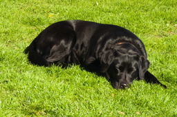 DSC05208.jpg