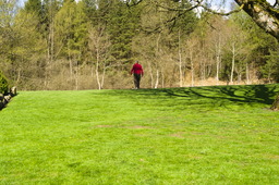 DSC05214.jpg