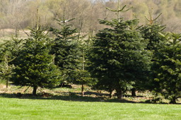 DSC05218.jpg