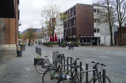 DSC05237.jpg