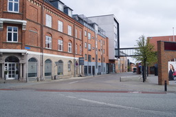 DSC05239.jpg