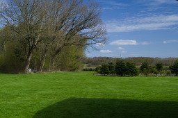 DSC05244.jpg