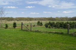 DSC05253.jpg