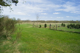 DSC05255.jpg
