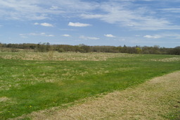 DSC05257.jpg