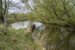 DSC05259.jpg