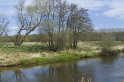 DSC05265.jpg