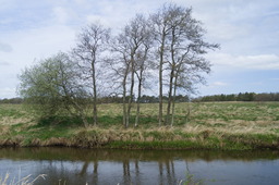 DSC05266.jpg